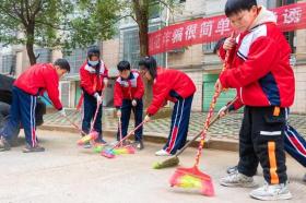 浙教版劳动二年级上册项目三家园环境我保护教学设计 