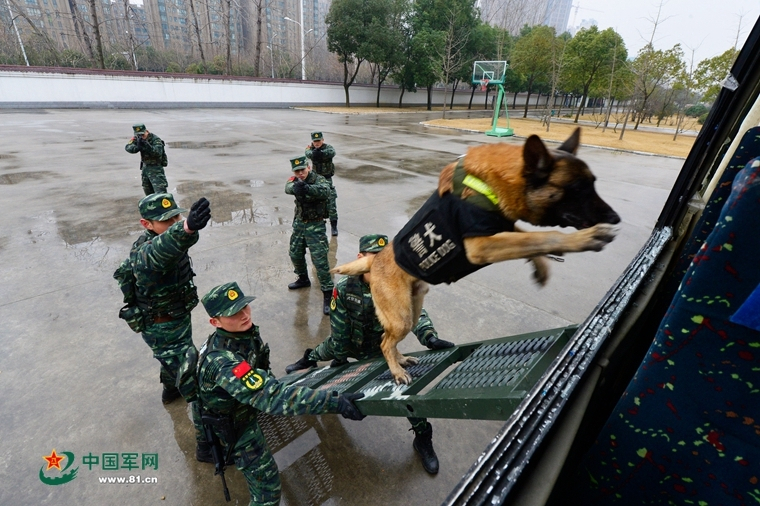 洛阳45岁农民工在工地跳霹雳舞：尘土中走出太空步，一字马信手拈来 